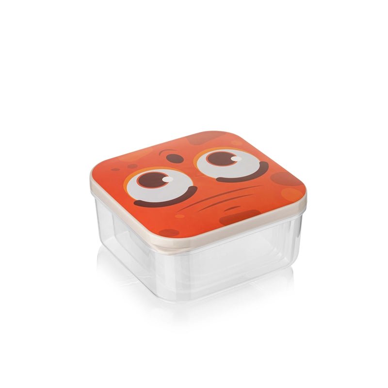 Doboz szett 4db BSF-00829 - H&H Home